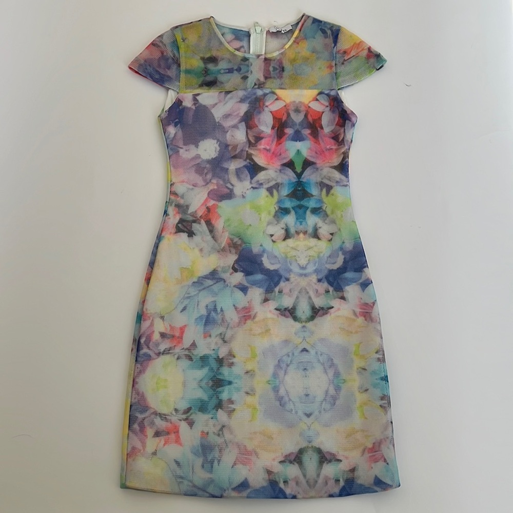 Parker August Floral Mesh Dress